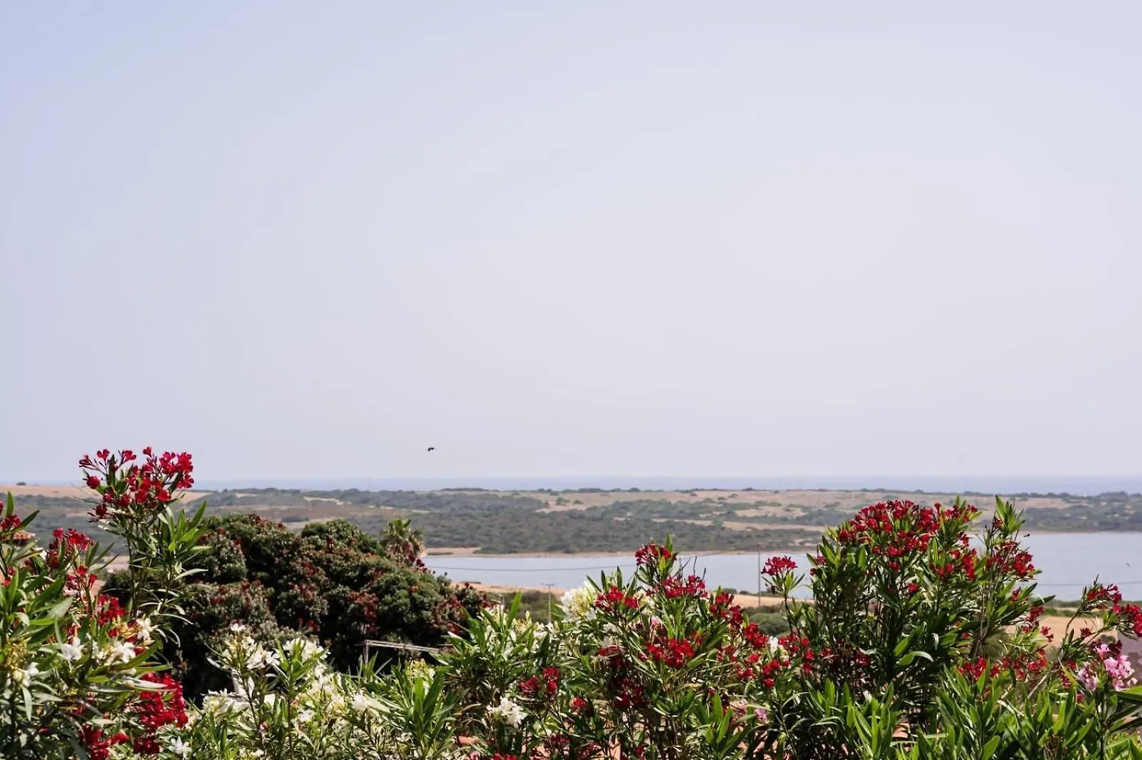 Villa Agosto - Piscina Privata Stintino